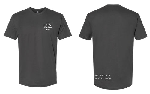 Not My First Rodeo Cotton Crew Tee - Charcoal